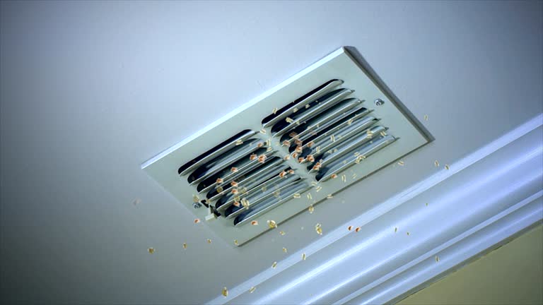 Best Duct Cleaning for Offices  in Paducah, TX
